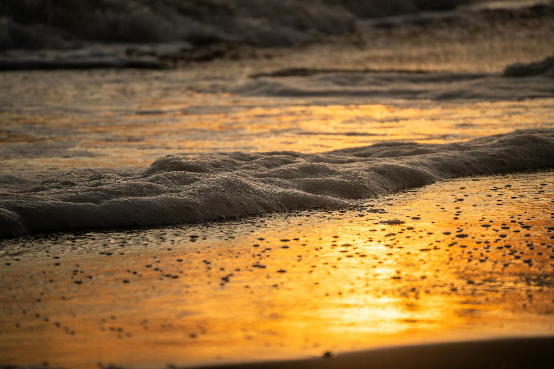 Golden sunset at a Key West beach — best beaches in Key West for sunset views