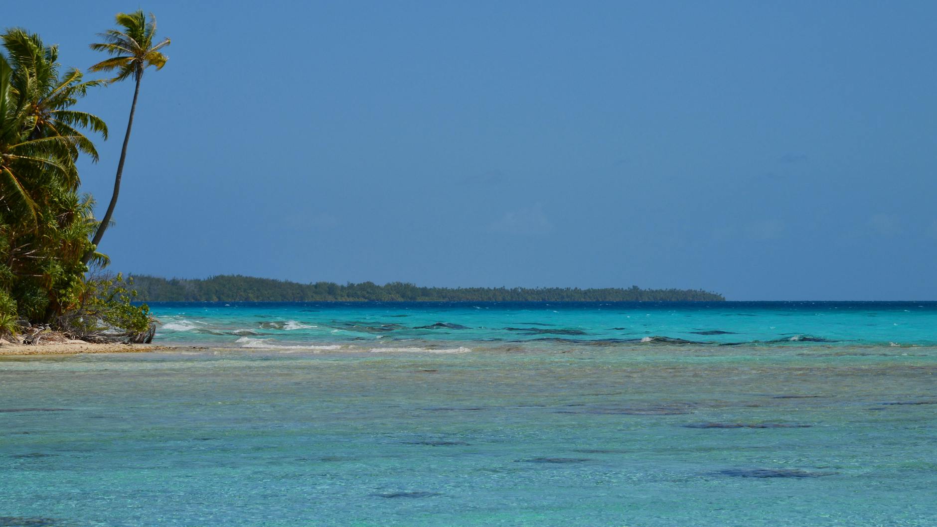 Key West Beaches Guide: Best Beaches and What to Expect