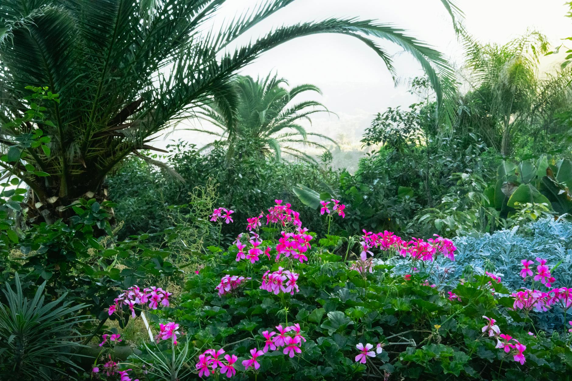 Tropical garden at a Key West bed and breakfast — historic inns offer unique accommodation in Key West