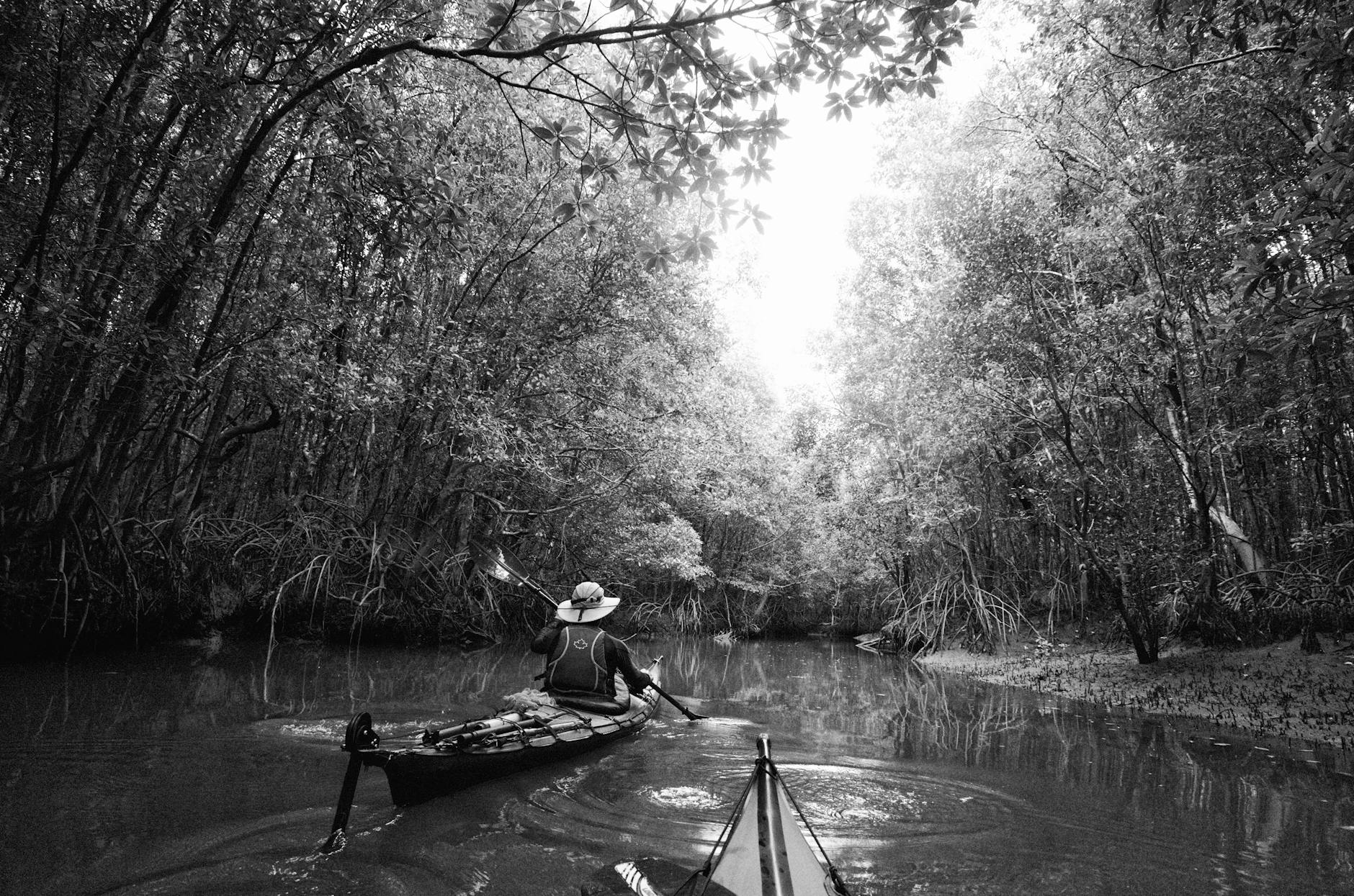 Kayaking through serene mangrove tunnels on a Key West eco tour