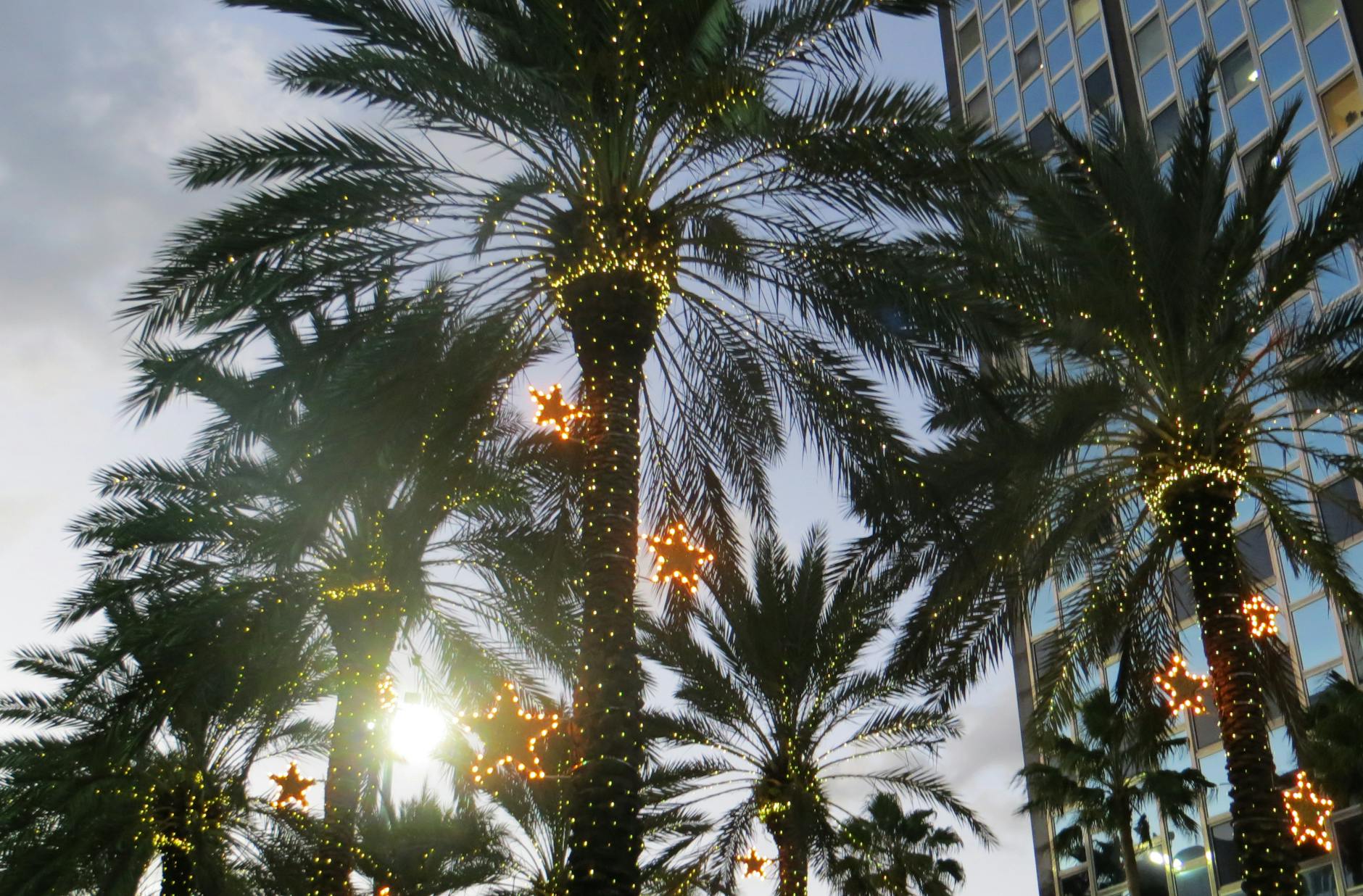 Tropical holiday decorations with palm trees and lights during Key West's festive season