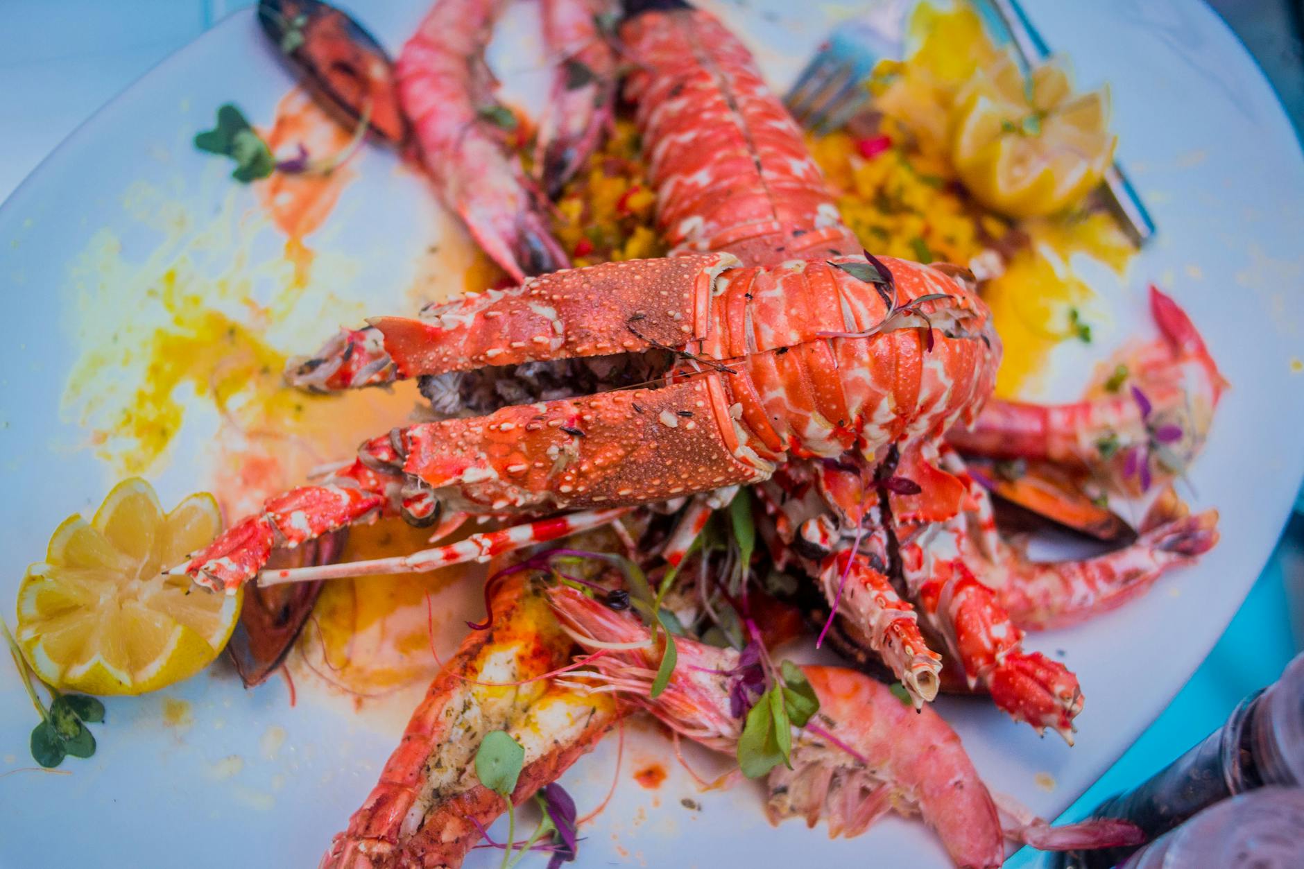 Fresh Florida Keys lobster showcased at Key West's annual Lobsterfest celebration