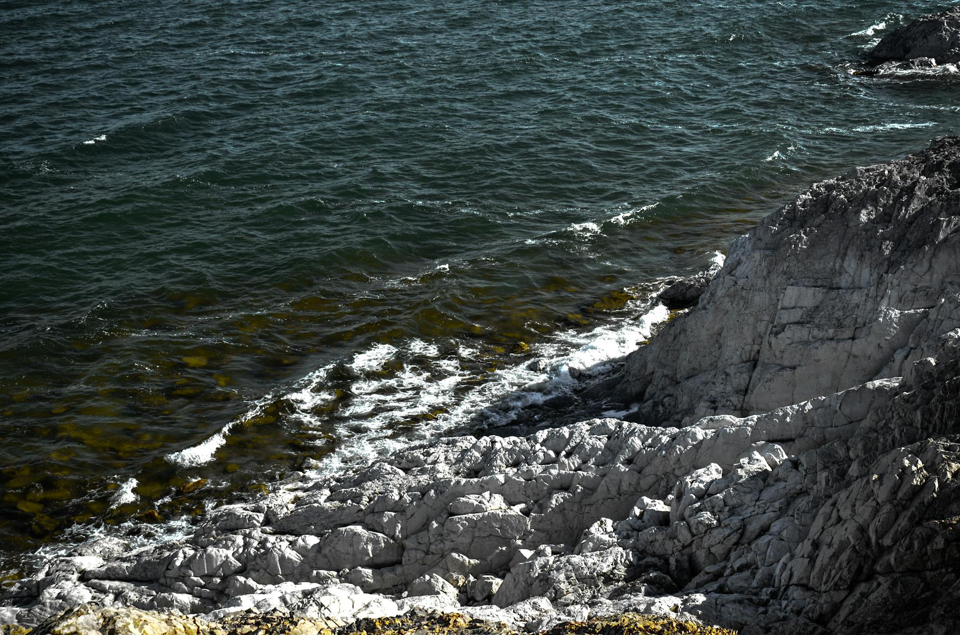 Natural rocky shoreline at Fort Zachary Taylor — the best Key West beach for snorkeling