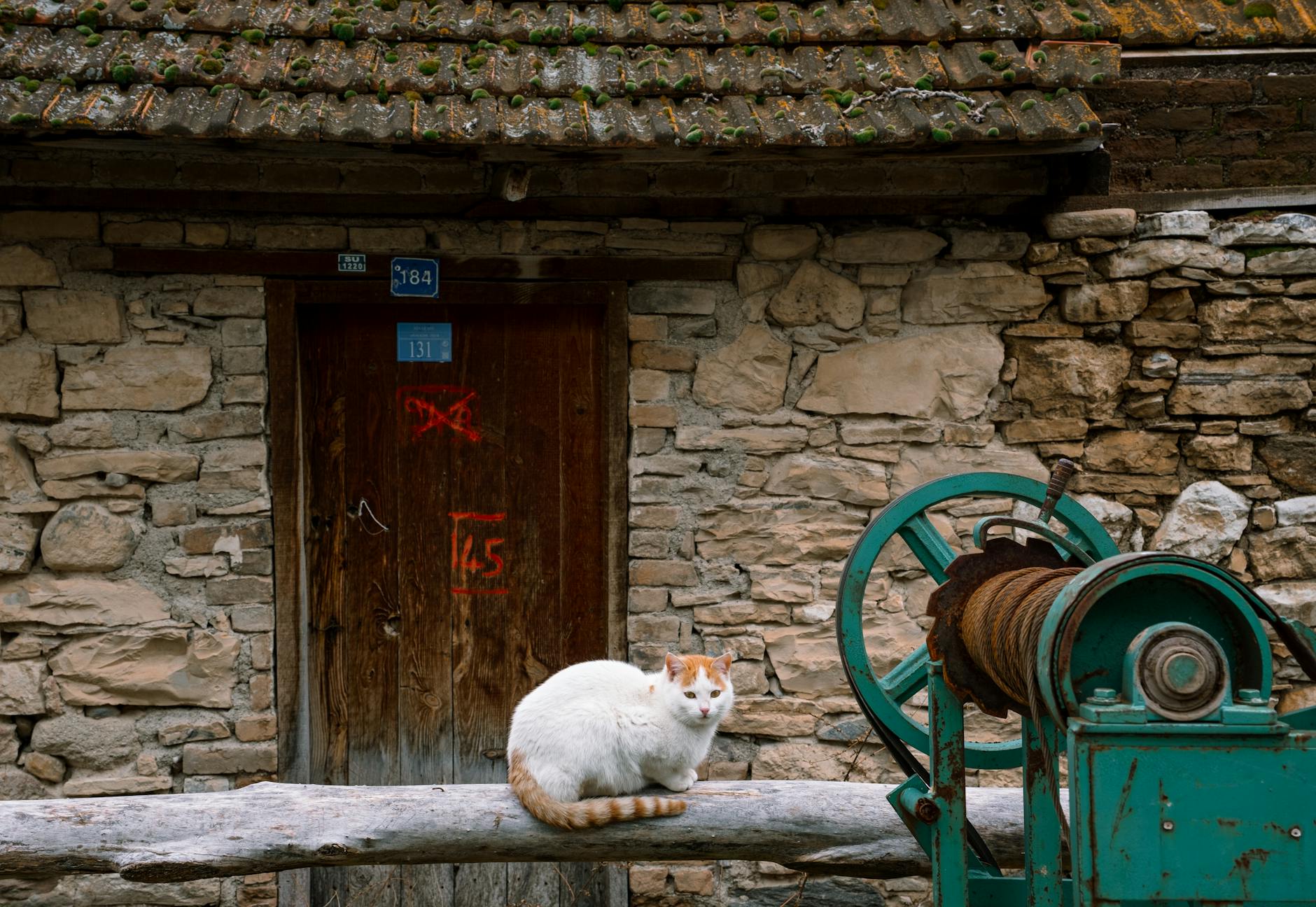 The Ernest Hemingway Home and Museum surrounded by tropical gardens in Key West Florida