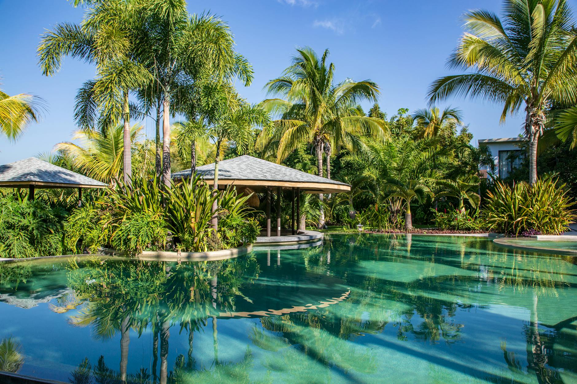 Luxury resort pool in Key West with tropical landscaping — where to stay in Key West for luxury