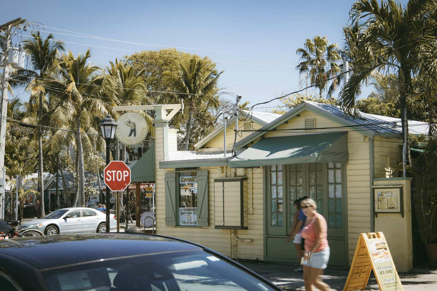 Old Town Key West palm trees - cheap things to do in Key West include free Old Town walking