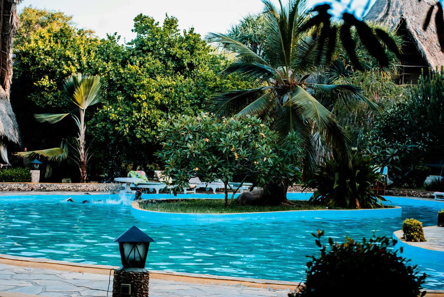 Tropical swimming pool similar to the famous Hemingway House Key West pool