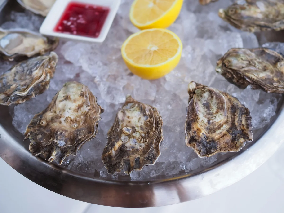 Cheap seafood and oysters in Key West