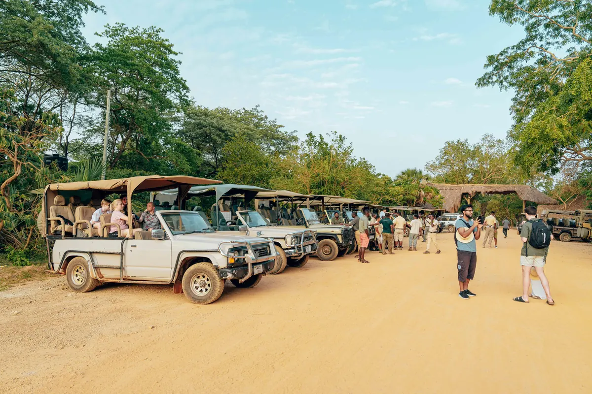 An open-air sightseeing tour in Key West