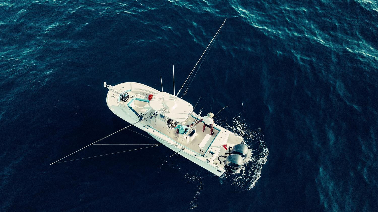 Key West Deep Sea Fishing: Charters, Species & Pricing (2026)