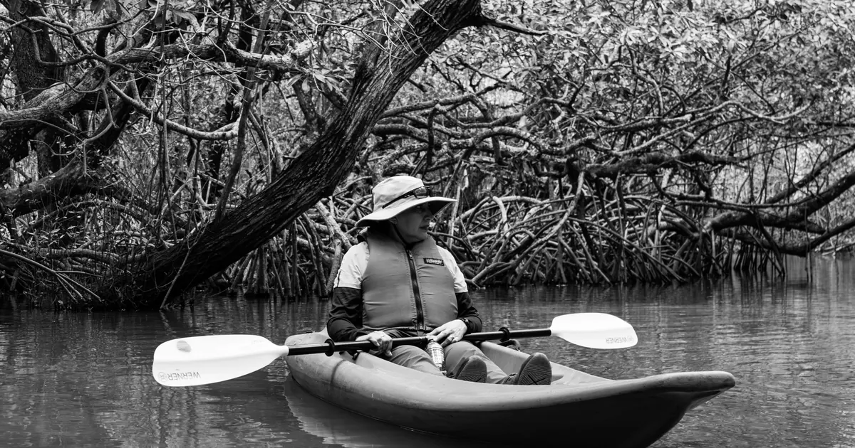 Kayaking the mangroves on a Key West eco tour