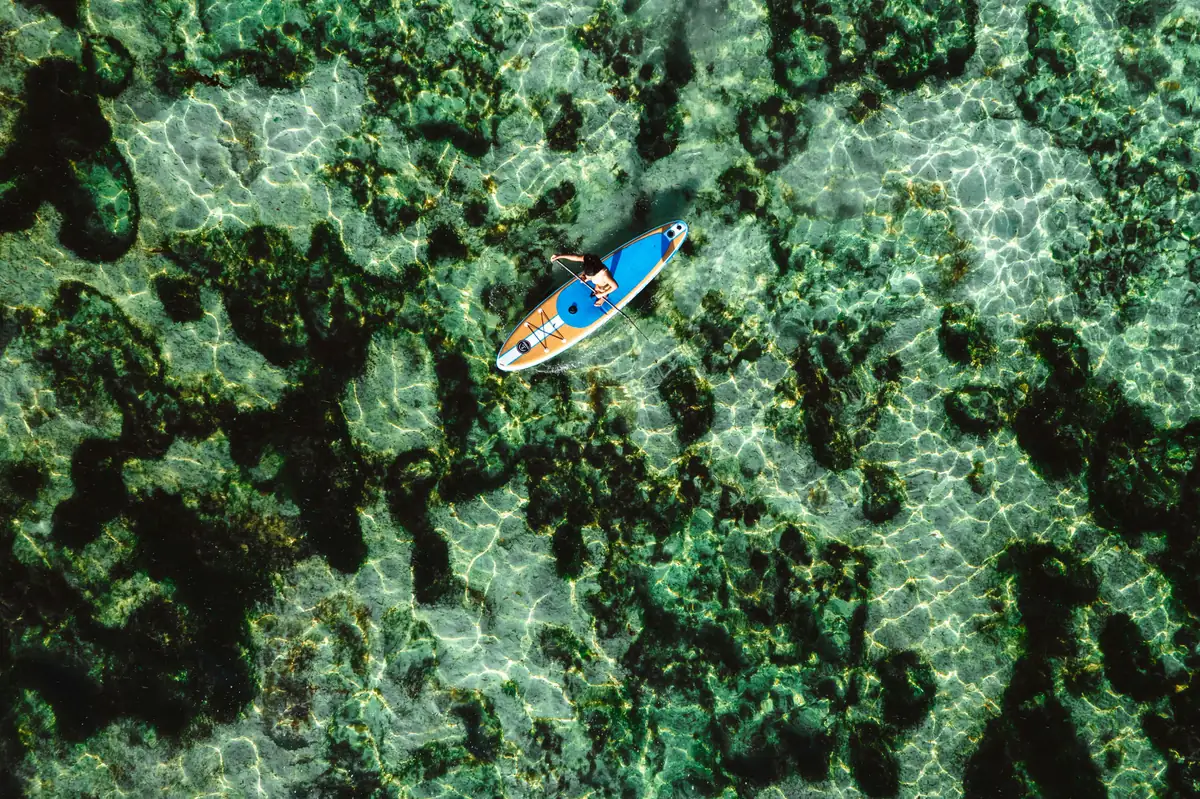 Paddleboarding on a Key West eco tour
