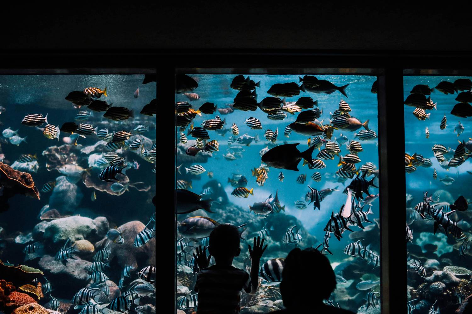 Key West Family Activities: Best Things to Do With Kids (2026)