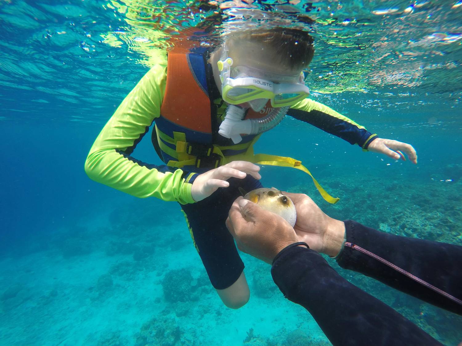 Child snorkeling - one of the best ocean Key West family activities