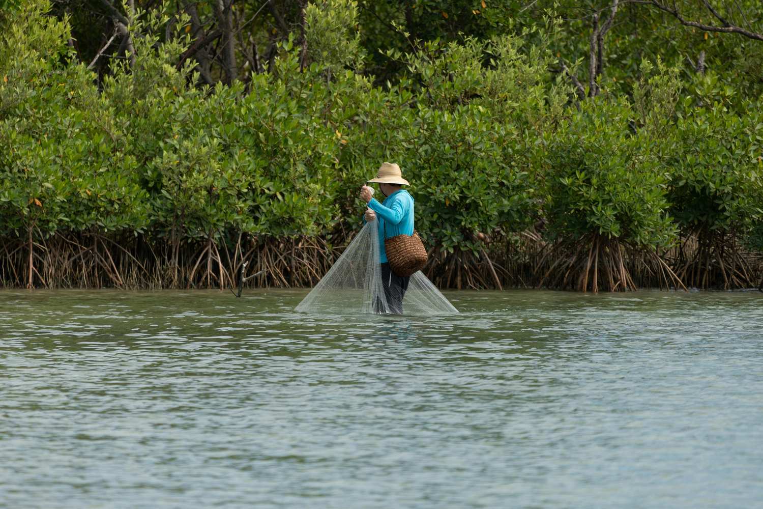 Key West Flats Fishing: Bonefish, Permit & Tarpon Guide (2026)