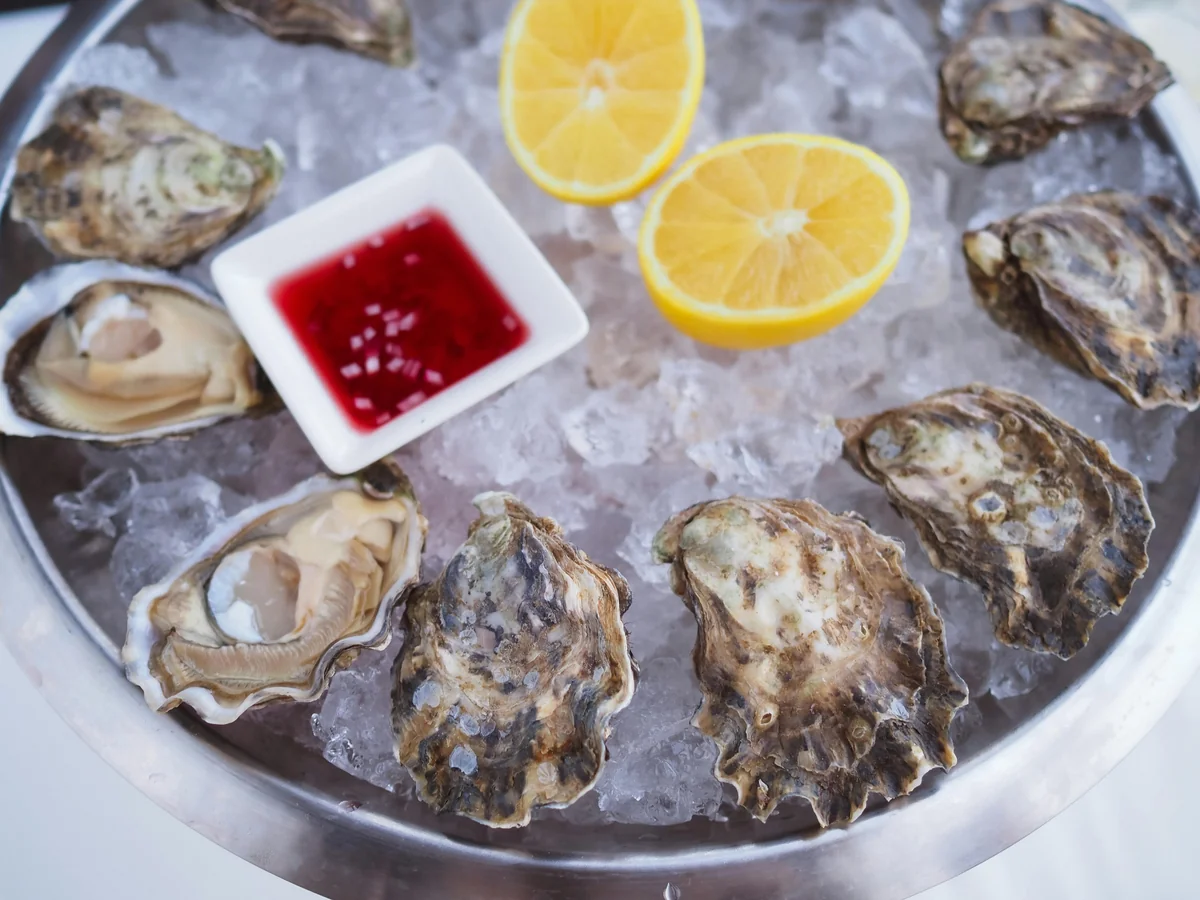 Happy hour oysters in Key West