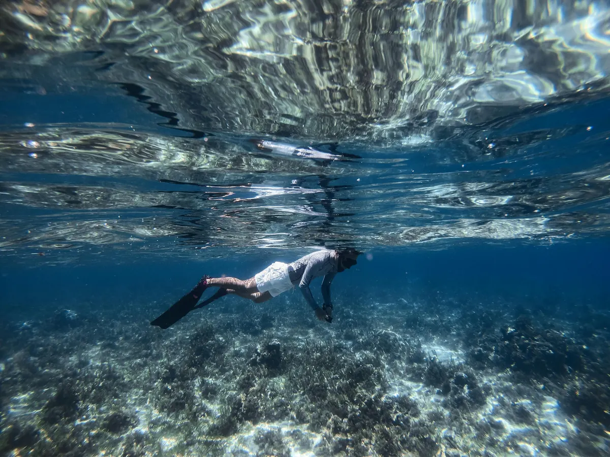 Snorkeling the reef during Key West lobster season