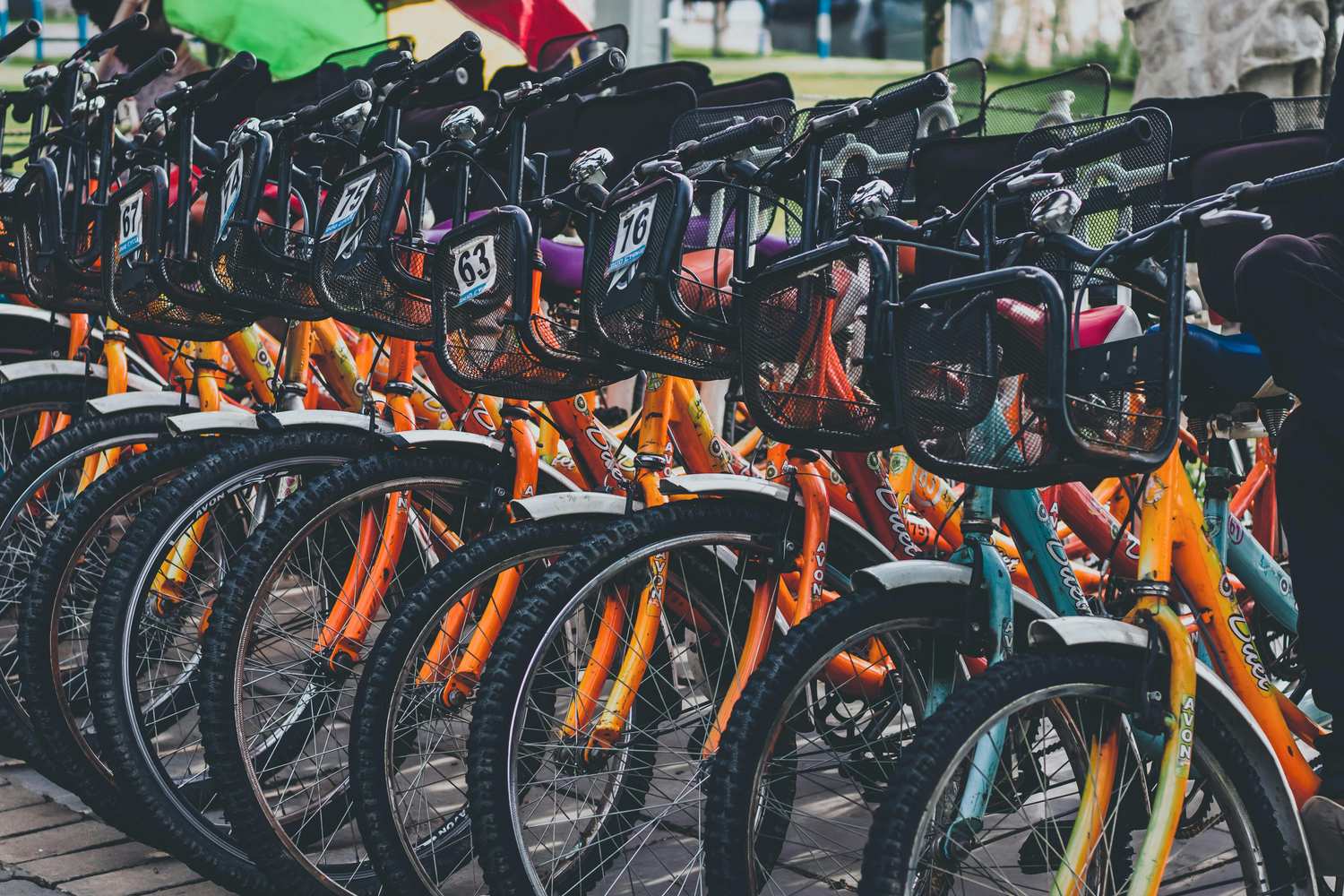 Bicycle rentals for Key West outdoor activities