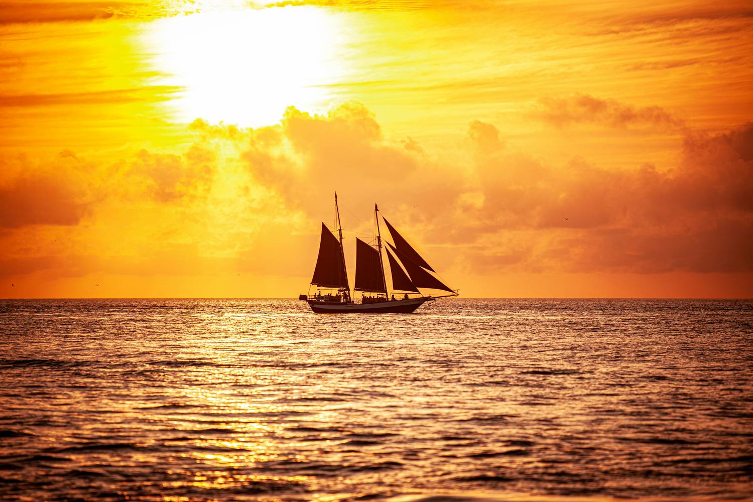 Schooner sailing for Key West outdoor activities sunset cruises