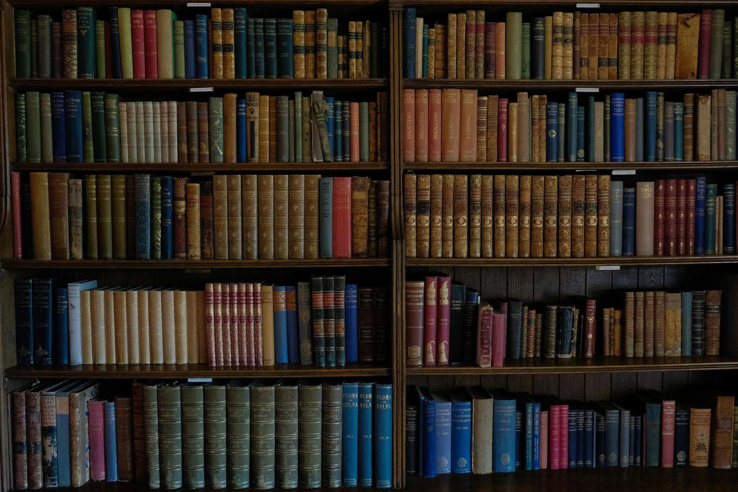Library books - Key West Library is a free Key West rainy day activity