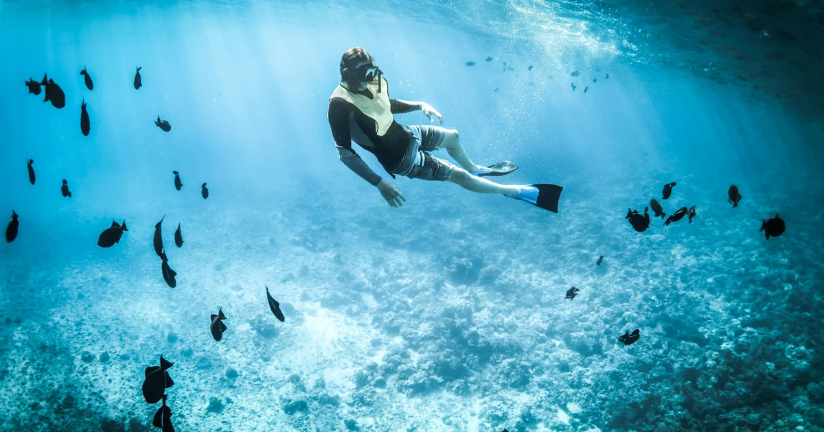 Snorkeling the Key West coral reef