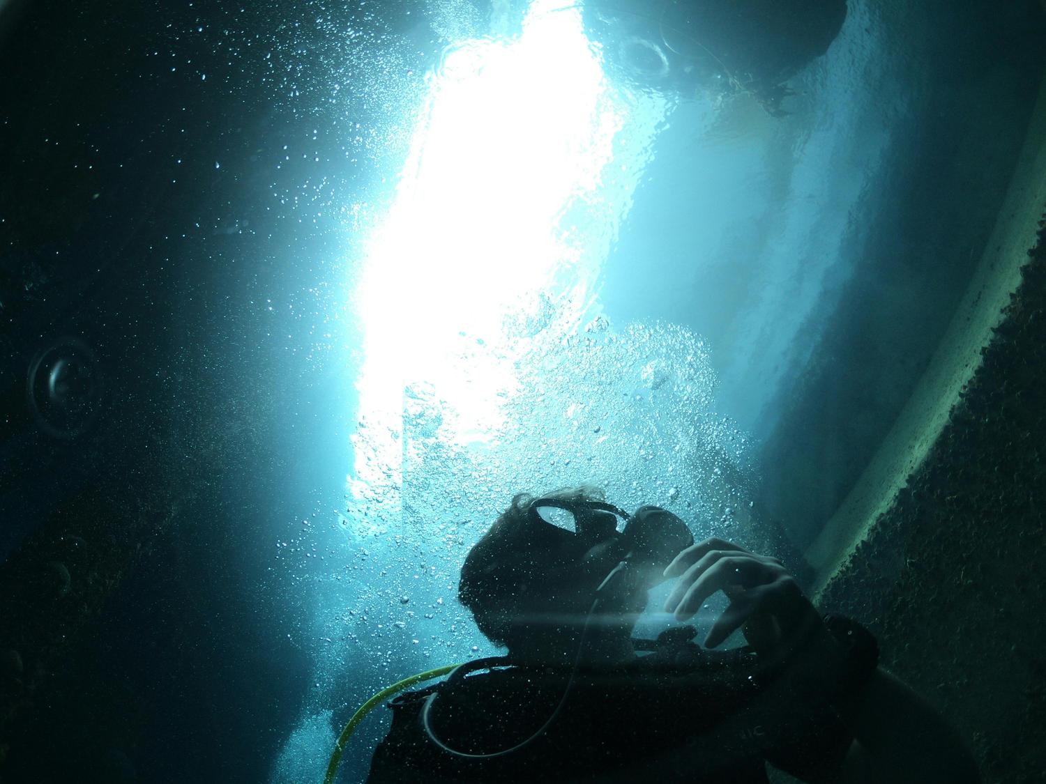 Key West Scuba Diving: Best Dive Sites & Operators (2026 Guide)
