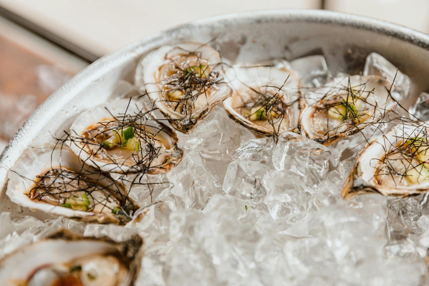 Fresh oysters on ice at a Key West seafood restaurant happy hour