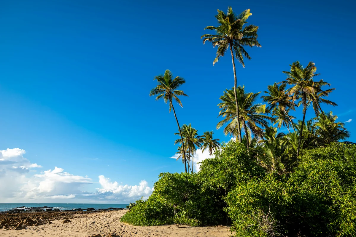 A small Key West beach