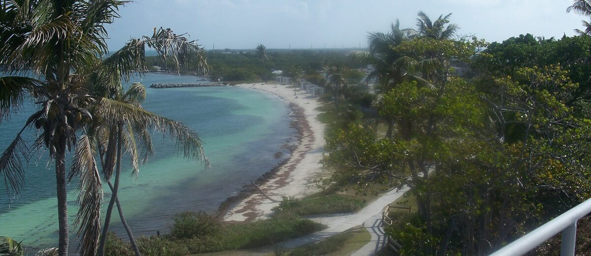 Calusa Beach and the curve of the shoreline at Bahia Honda State Park seen from above with palms and turquoise water