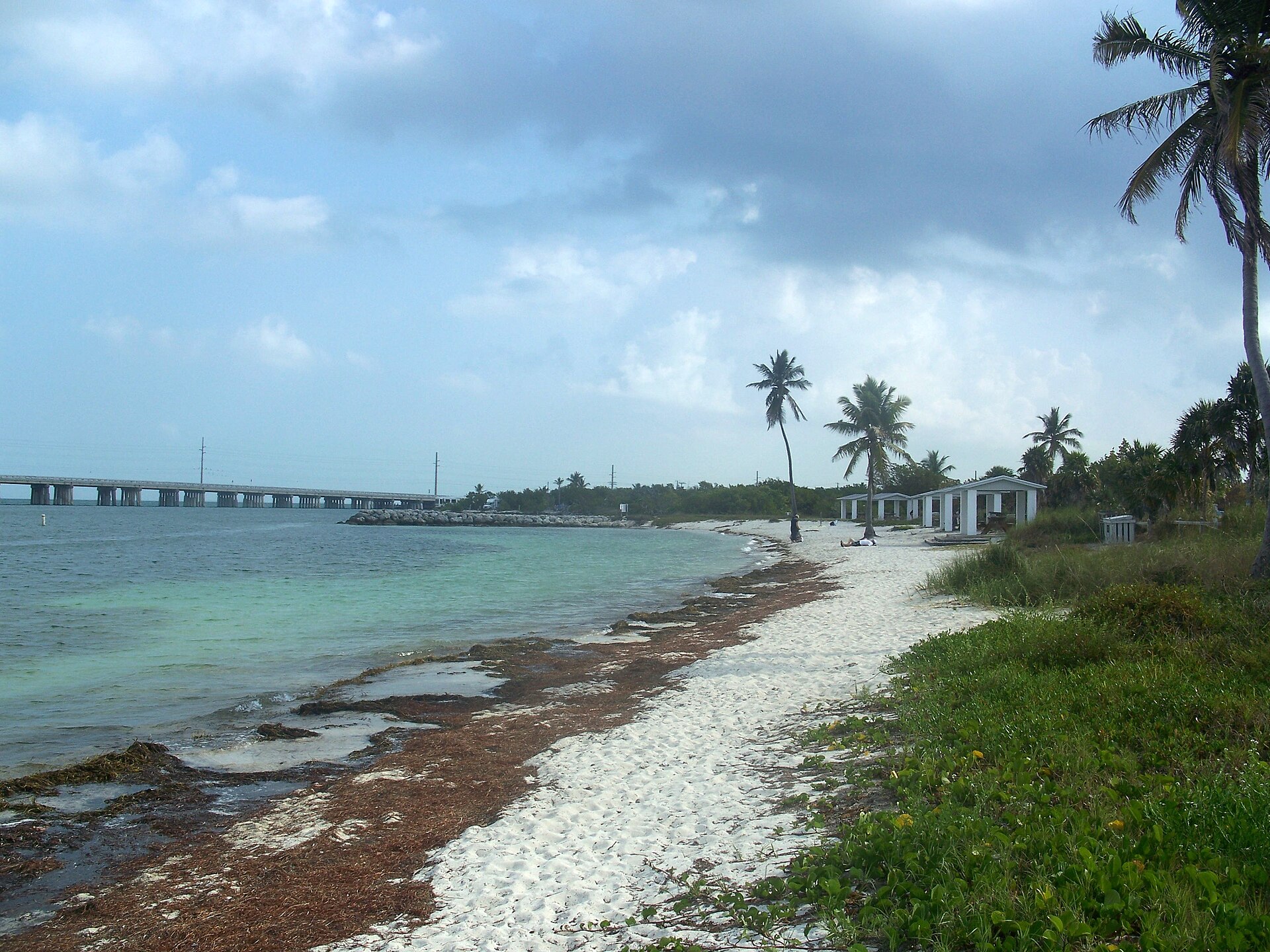 Sargassum seaweed piled along the tide line on the white sand at Bahia Honda with the highway bridge behind