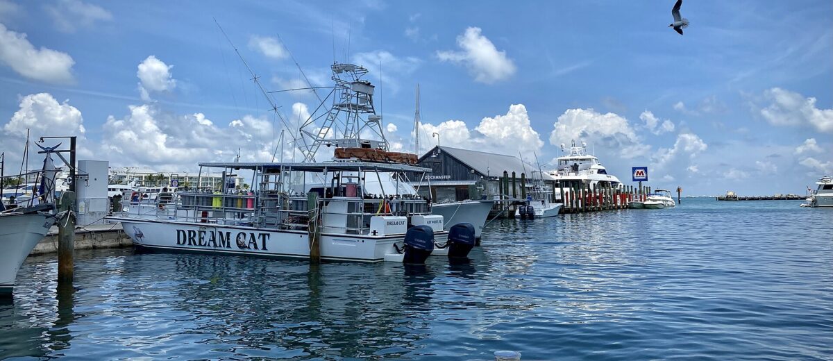 Dive and sportfishing boats tied up at Key West Bight Marina under a blue sky with summer clouds
