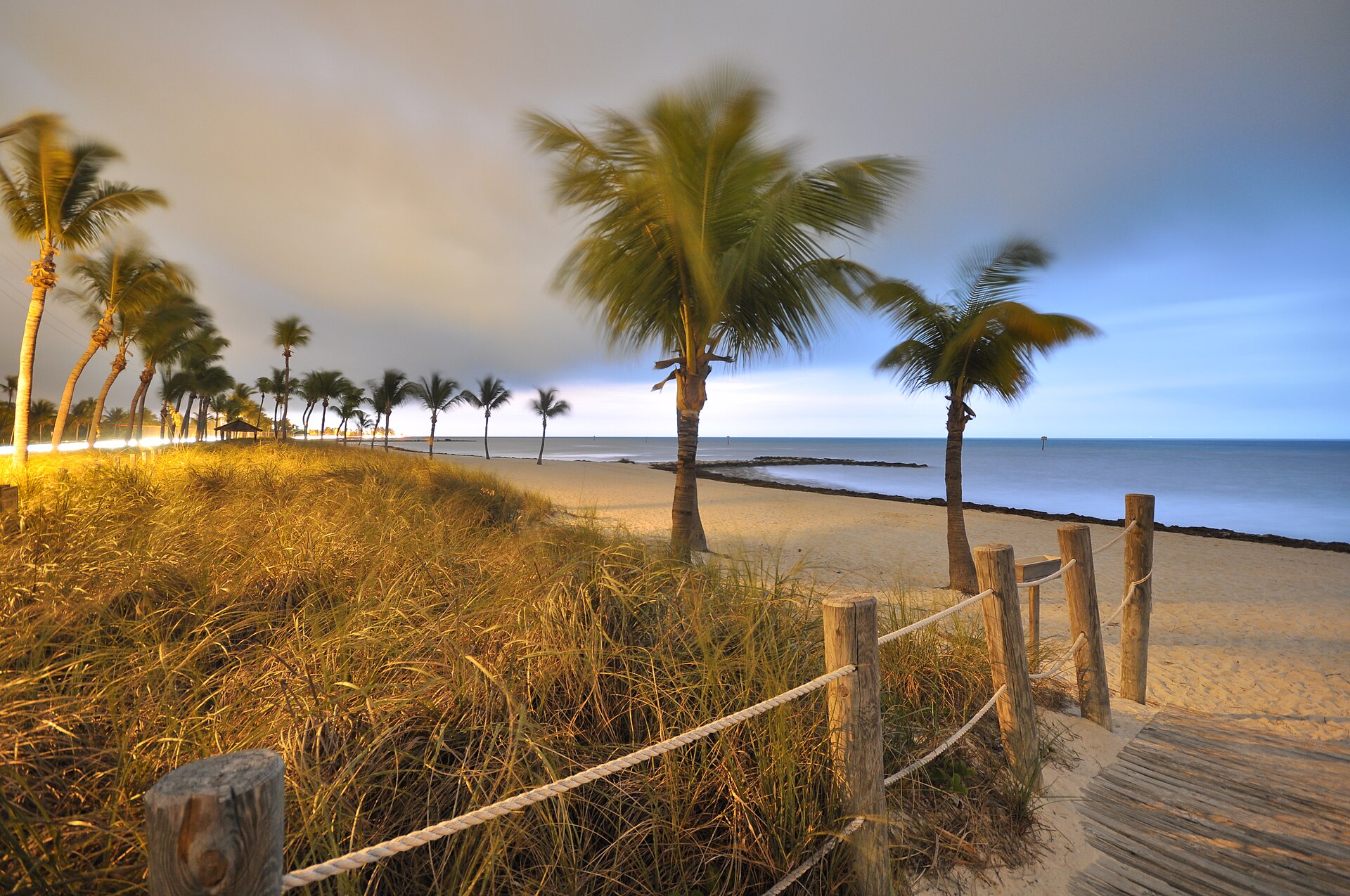 Palm trees blowing in strong wind along Smathers Beach in Key West under a stormy sky