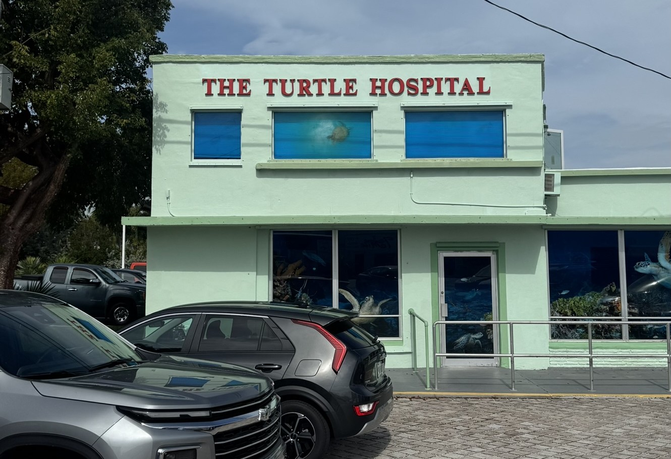 The mint green exterior of the Turtle Hospital in Marathon with sea turtle murals painted across the windows