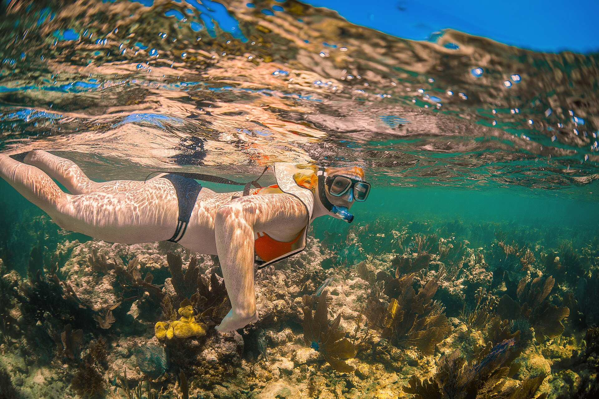 A snorkeler in a bikini and snorkel vest floating over sea fans and coral in clear shallow water